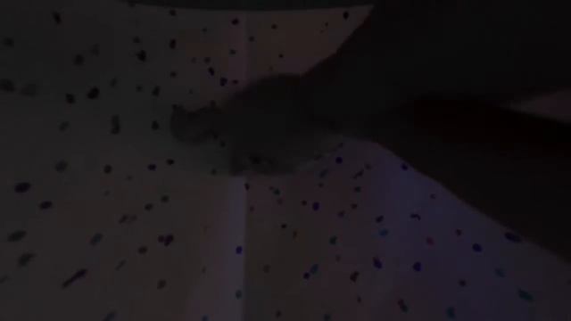 Клип ЛПС- Lazy__Tweening- смотреть онлайн