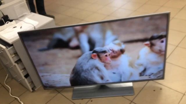 18 октября 2022 г. смотреть онлайн