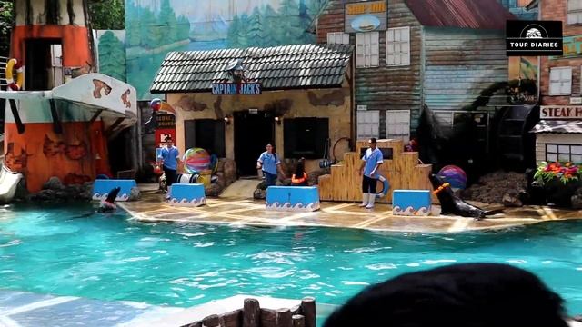 SEA LION SHOW | SAFARI WORLD BANGKOK 2022 | TOUR DIARIES смотреть онлайн