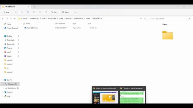 Selenium 3 UI Automation: Testing with Chrome for Testing (CFT) Browser | Step-by-Step Guide смотреть онлайн