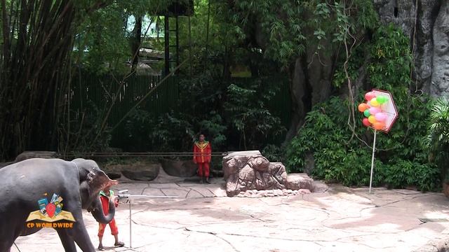 Elephant Dance At the safari world in Thailand смотреть онлайн