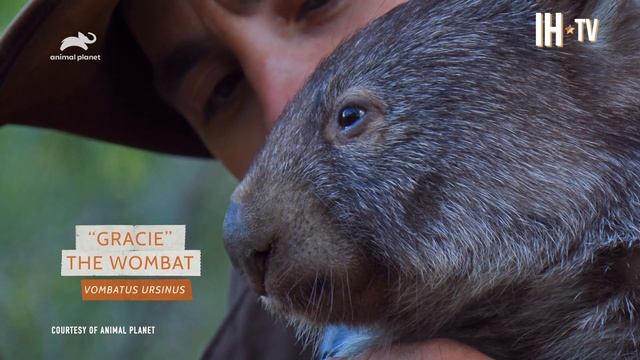 Coyote Peterson Is Ready To Go Wild | Coyote Peterson, Brave Wilderness TV Show HD