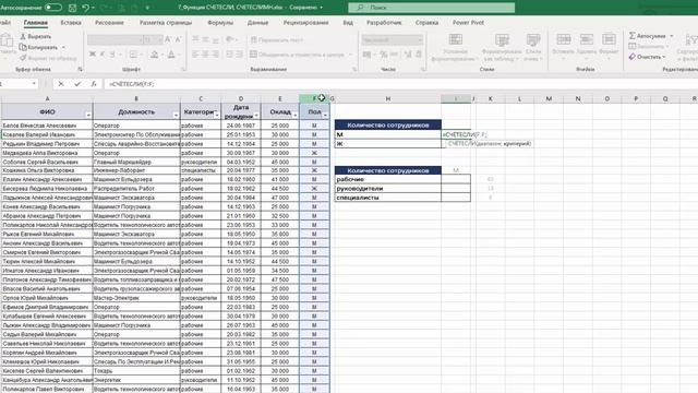 7. Функция СЧЕТЕСЛИ-СЧЕТЕСЛИМН. ТОП-25 Функций в Excel смотреть онлайн