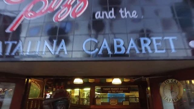 Welcome Back to Catalina - So Cal Safari 37 смотреть онлайн