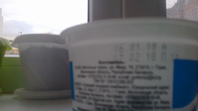 Как прорастить травку для попугая и хомяков дома