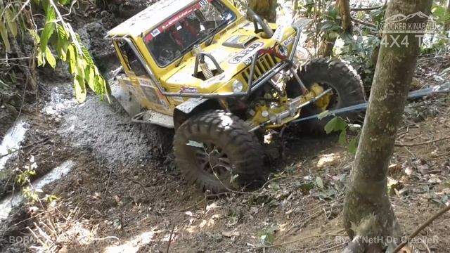 BORNEO SAFARI 2018 - By; K'NetH De CrockeR (SS8 - Part3) (Part34) смотреть онлайн