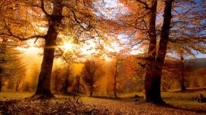 ТЫ  НА  СВЕТЕ  ЕСТЬ - ( Минус )