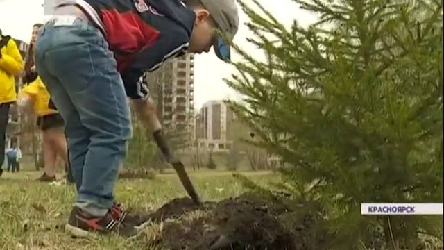 Красноярские ветераны присоединились к акции 