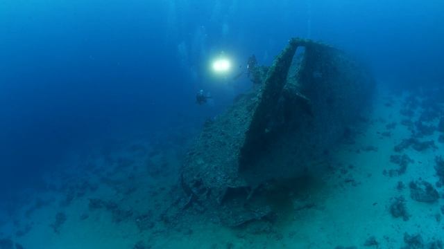 ROJO DIVE SAFARI смотреть онлайн