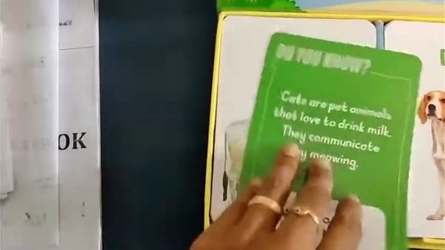 flash cards 👍 смотреть онлайн