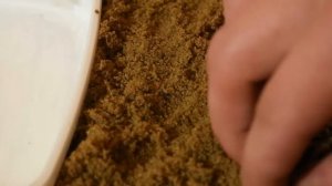 ПЛЯЖ ДОМА - ЭТО РЕАЛЬНО? КАК СДЕЛАТЬ ПЛЯЖ С ПЕСКОМ, БАССЕЙНОМ И ПАЛЬМОЙ У СЕБЯ ДОМА? DIY