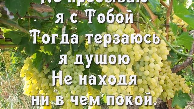 Когда в Твои слова вникаю смотреть онлайн