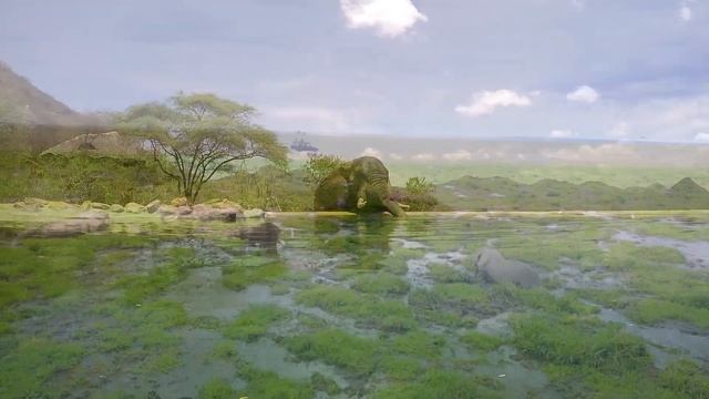 Safaris with Africa Born - Elephants смотреть онлайн