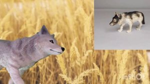 ТОП 5 САМЫХ РЕДКИХ ФИГУРОК ВОЛКОВ 🐺💛🌾