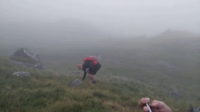 Brave Dave and the Frog смотреть онлайн