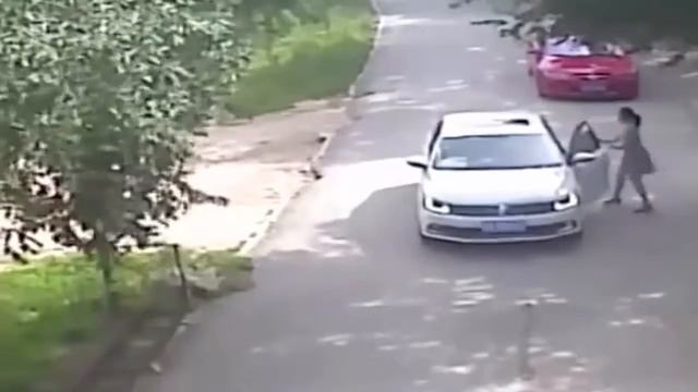 Shocking Tiger Attack in Wildlife Park Beijing China | A Woman Killed in the China Wild Animal Park смотреть онлайн