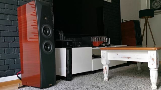 Speakers & rca cable - Purist Audio Design MUSAEUS. Unison research s6 & Opera seconda. смотреть онлайн