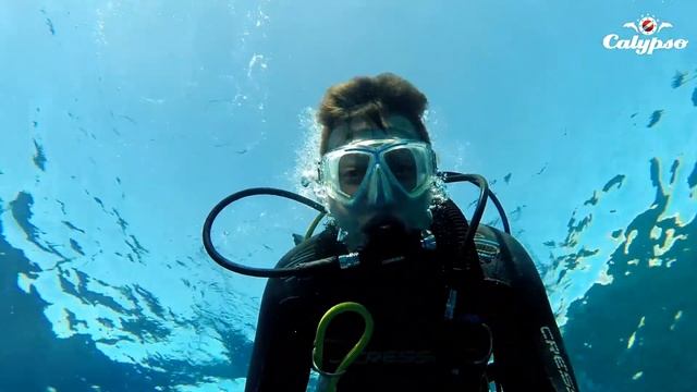 DIVE-SAFARI. SHARM EL SHEIKH. смотреть онлайн