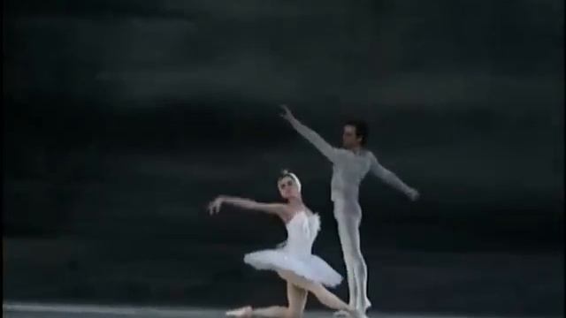Swan Lake - Balletto dell'Opera di Lviv смотреть онлайн
