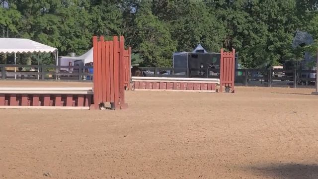 Brave horse derby смотреть онлайн