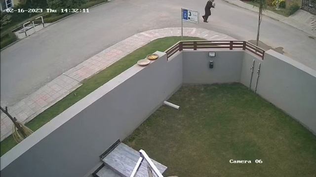 Tiger nay security, Wale k opera Hamella kiy ￼, ￼🐆🐆 смотреть онлайн