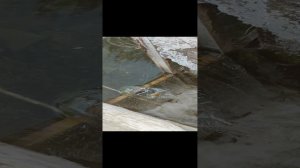 1000083402.mp4
