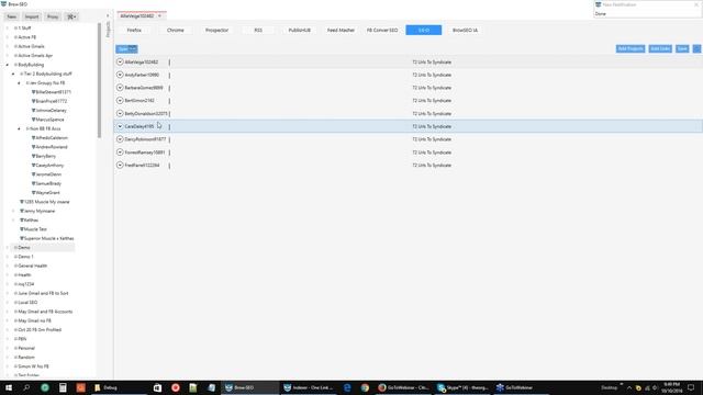 BrowSEO Basic Functions Webinar смотреть онлайн