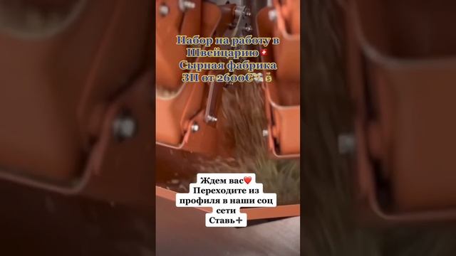 Швейцария 🇨🇭 сырная фабрика 🧀 смотреть онлайн