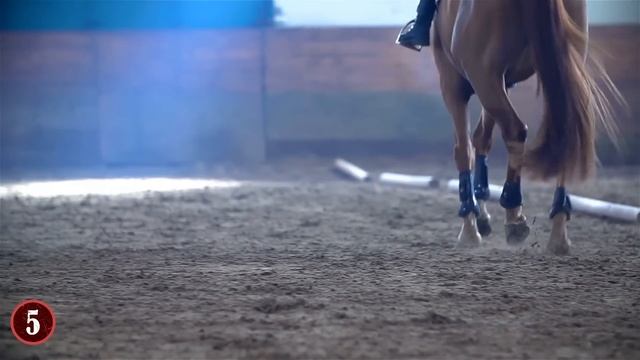 Most Unbelievable Unlikely Animal Friendships! смотреть онлайн