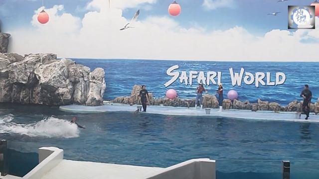 Safari World | Bangkok | Thailand смотреть онлайн