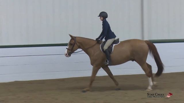 Charlotte Graham & Lazarus - Novice Chld Htr U/S - Ledges A1 Feb 2021 смотреть онлайн