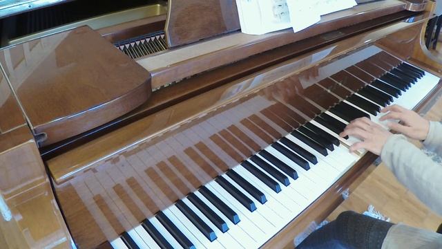 Turandot: "Nessun dorma" (piano accompaniment) #nessundorma #piano #opera смотреть онлайн