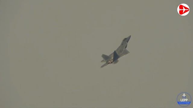Brave eagle 🦅 tries landing on an aircraft wing in-flight high in the sky смотреть онлайн