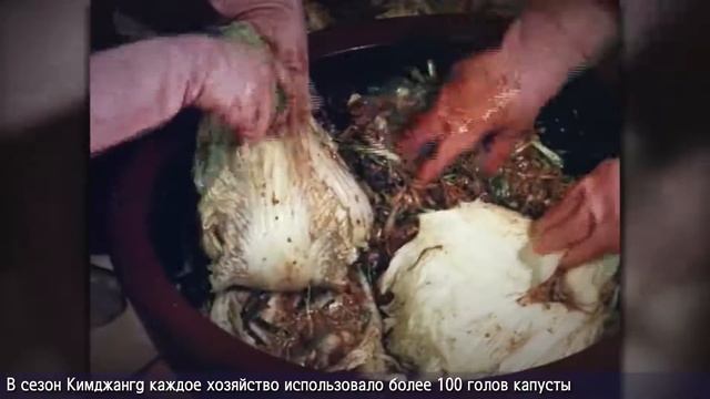 Наше общинное сознание в Кимчи (Россия) смотреть онлайн