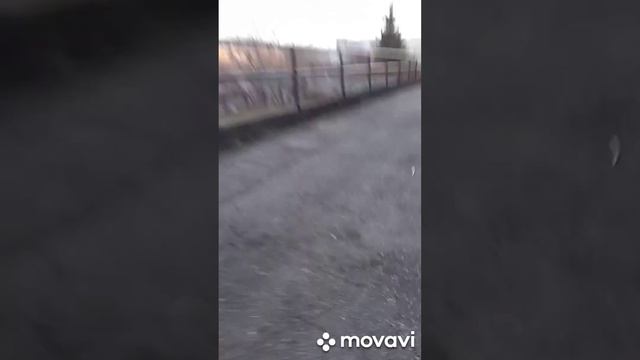 Что будет если прочрый ультрафиолетовый фонарик скинуть с 3 этажа смотреть онлайн