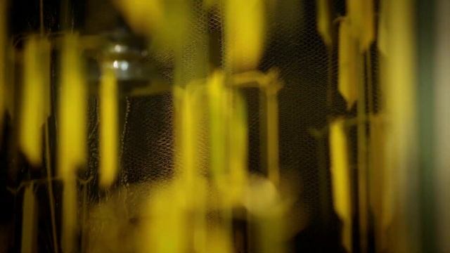 Land of the Free Tools of the Brave смотреть онлайн