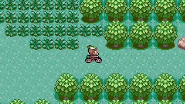 Tracy Emerald Adventures: Safari Zone On Acro Part 123 смотреть онлайн