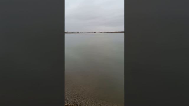 С добрым утром , друзья #природа #красотаприроды #осень #осень2024 #рыбалка #рыбак #рыбалка2024 #утр смотреть онлайн