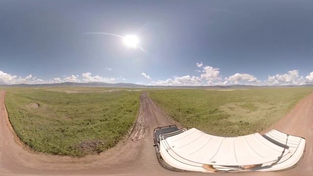 360 4K VR Video of Wildlife at Ngorongoro Crater, Tanzania смотреть онлайн