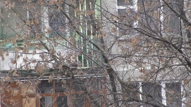 Белочка пришла смотреть онлайн
