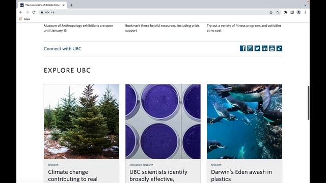 Internet Basics смотреть онлайн