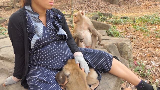 Brave Rescue: KT Mom Saves Abandoned Bravo and Kitty from Grandma Ashley смотреть онлайн