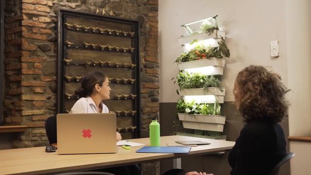 A Kickstarter Project We Love: Hedera | Indoor Vertical Garden | Grow Plants With No Effort смотреть онлайн