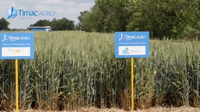 Технологія живлення рослин від 