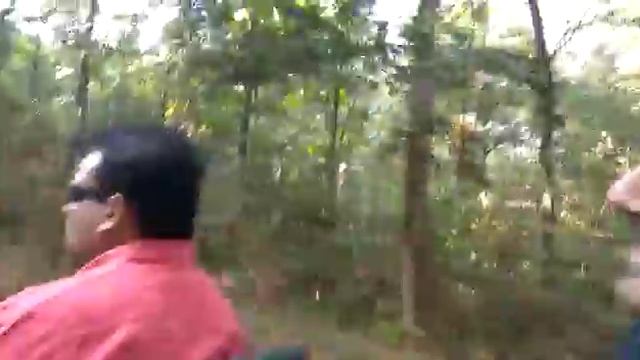 भोरमदेव अभ्यारण्य जंगल सफारी/ BHORAM DEV JANGAL SAFARI смотреть онлайн