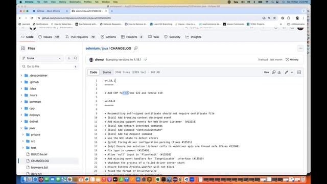 How to Remove CDP Version Warning in Selenium смотреть онлайн