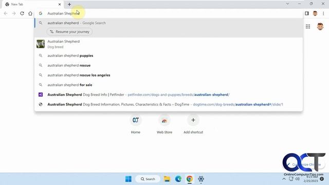How to Disable the Resume Your Journey\Browsing Search Feature in Google Chrome смотреть онлайн