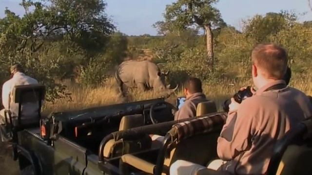 #bigfive #krugerpark #safari #gamedrive #wildlife Join us on a Game drive in the Greater Kruger Par смотреть онлайн