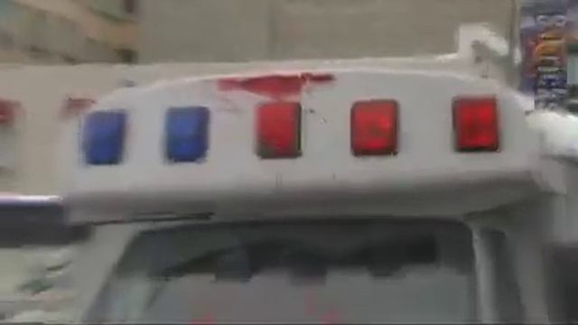 Urban Safari: Anti-Police-Brutality Riot смотреть онлайн