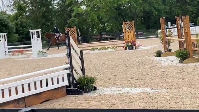 Inspired - Charlotte Oulanoff - Brave Horse смотреть онлайн